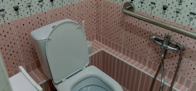 Meeting Diverse Needs With Accessible Restroom Solutions in Fresno, CA