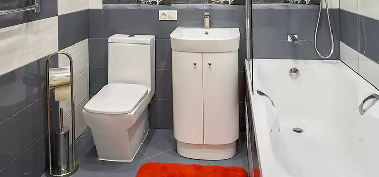 Hansgrohe Shaving Mirror Fresno